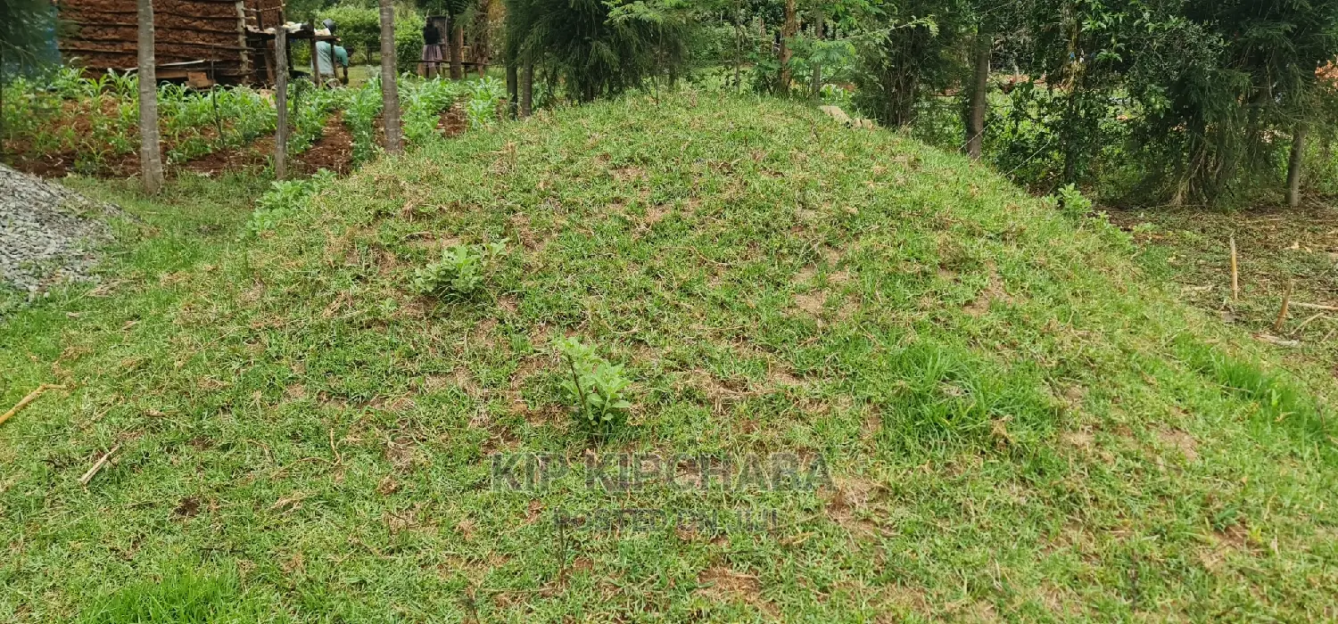 Full 1⁄4 Plot for Sale Cheplasgei Bypass Greenwood Eldoret