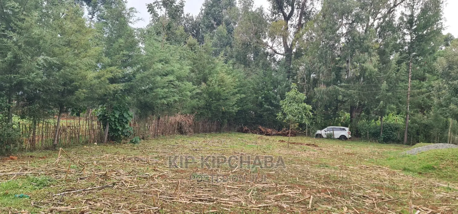 Full 1⁄4 Plot for Sale Cheplasgei Bypass Greenwood Eldoret