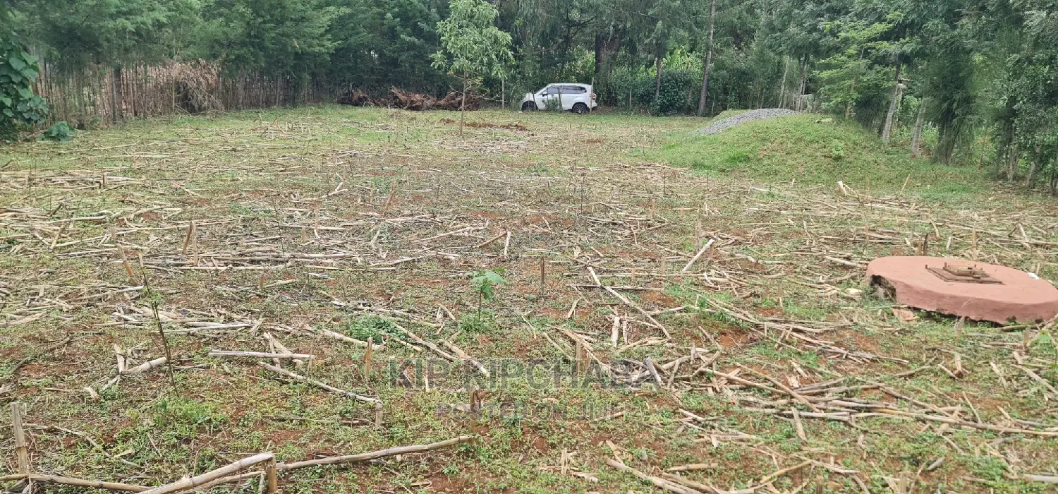 Full 1⁄4 Plot for Sale Cheplasgei Bypass Greenwood Eldoret
