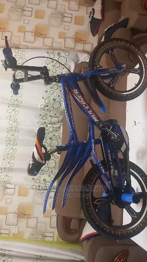 Bike Size 16 With Alloy Rims