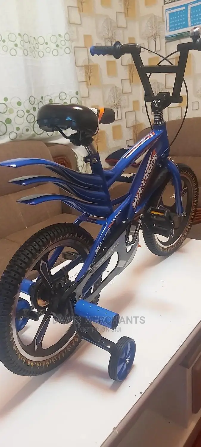 Bike Size 16 With Alloy Rims