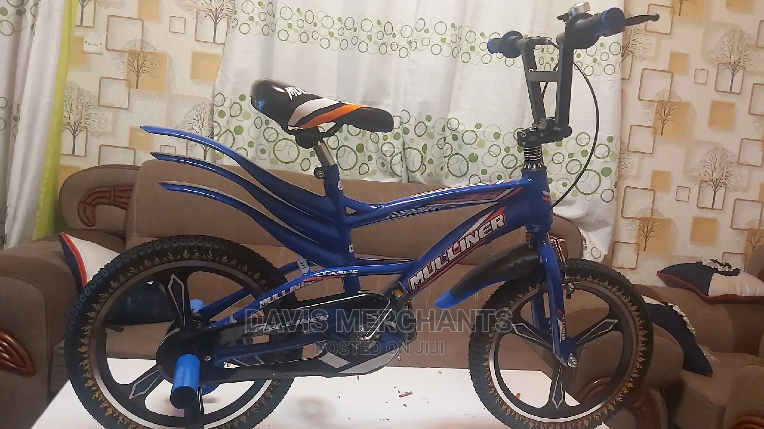 Sports Bike Size 16 With Elegant Alloy Rims