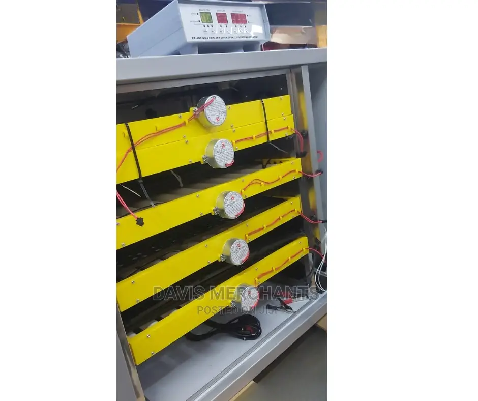 Egg Incubator