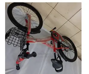 20" Lovely Bike