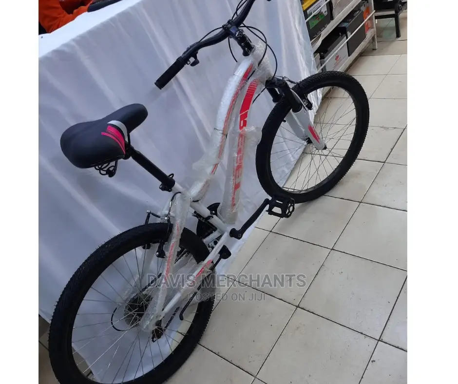 Exotic 24" Bike