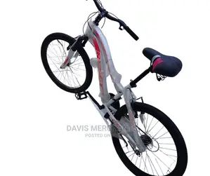 24' Reset Bicycle