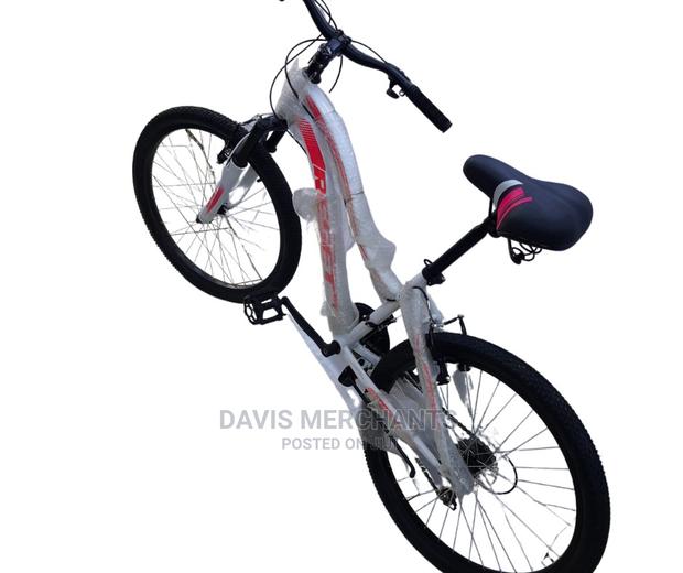 24' Reset Bicycle - main view