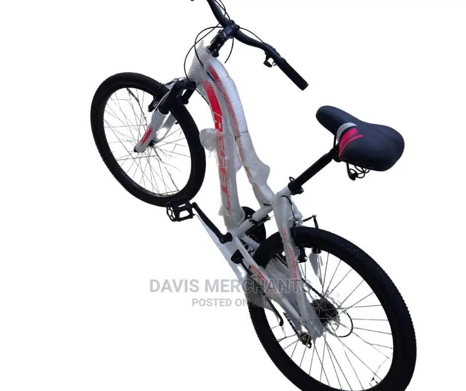 24' Reset Bicycle