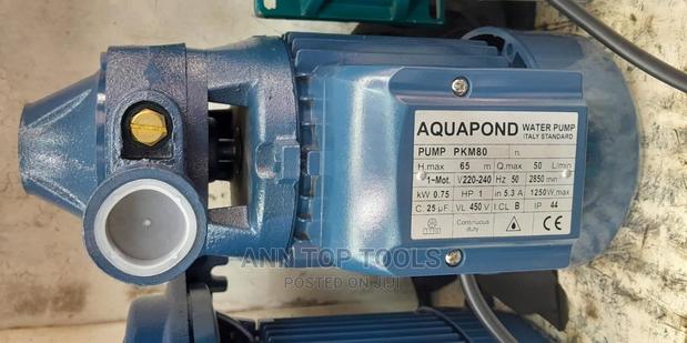 Aquapond Water Booster Pump 1hp 65m Pkm80