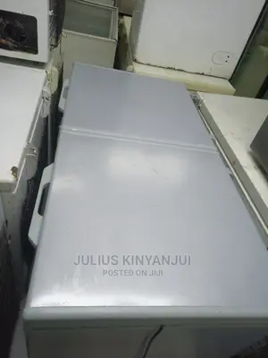 Double Door Freezer