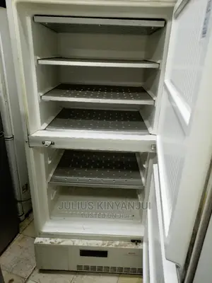 Upright Freezer 600l