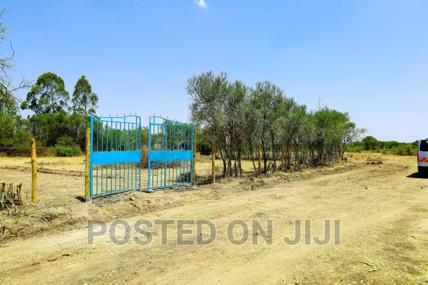 Kamakis Ndio Best^Me - thumbnail 3