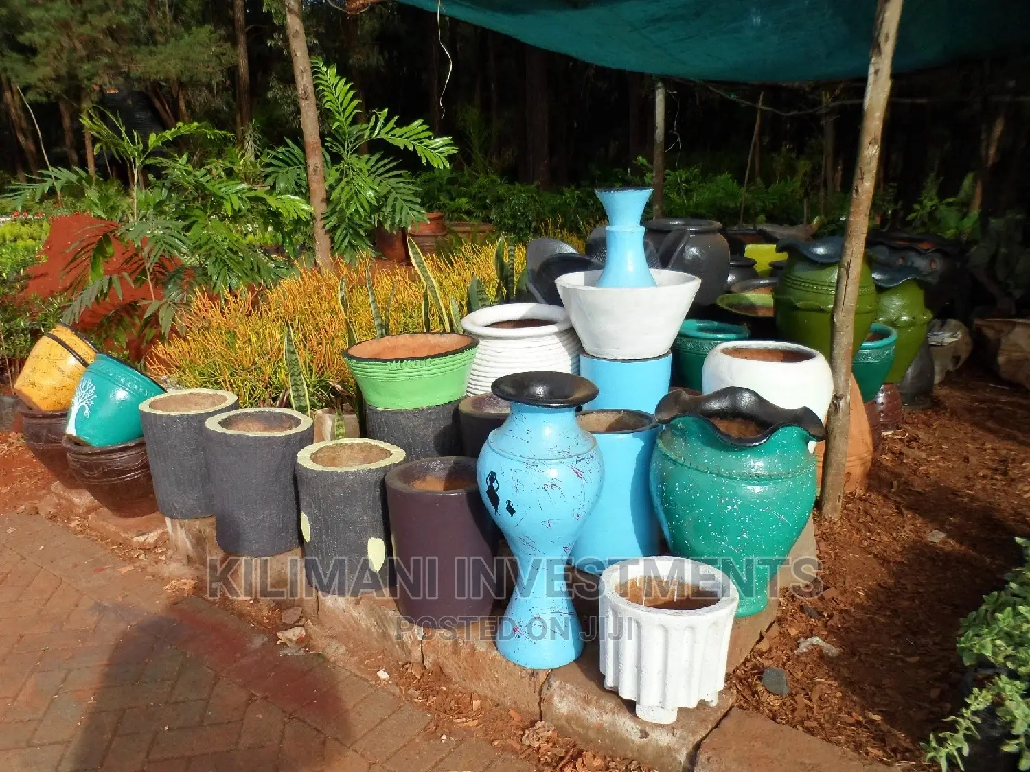 Seeds Grafted Fruit Seedlings All Varieties Along Ngong Road