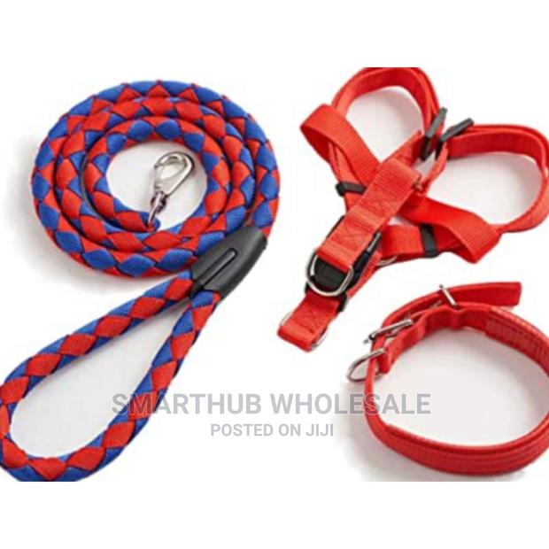 Complete Strong Dog Leash and Dog Collars - main view