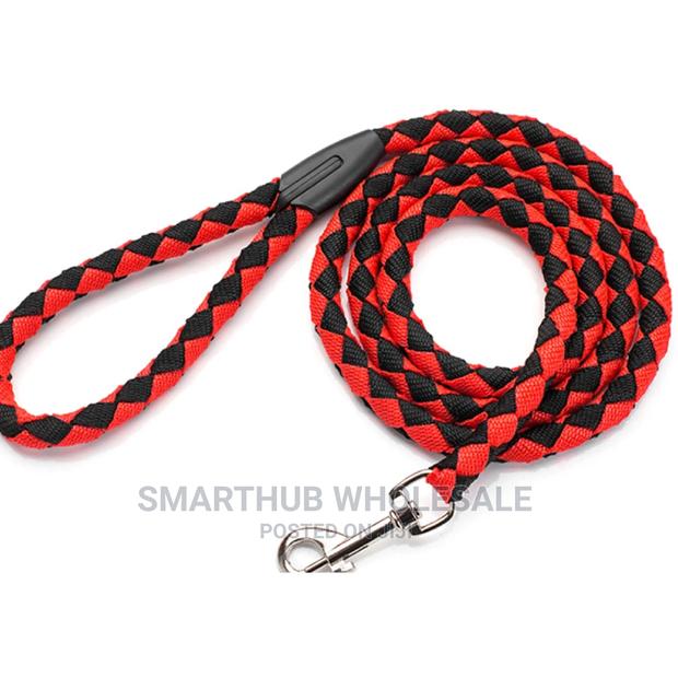 Dog Leash Strong and Durable - main view