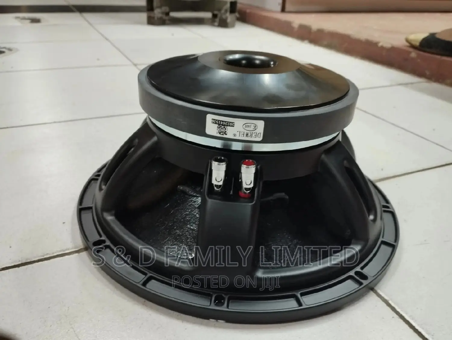Derwel 12 Inch Midrange