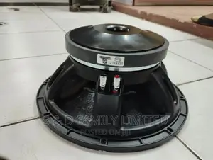 Derwel 12 Inch Midrange