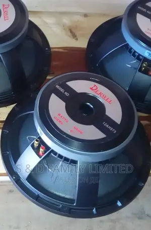 Derwel 12 Inch Speakers
