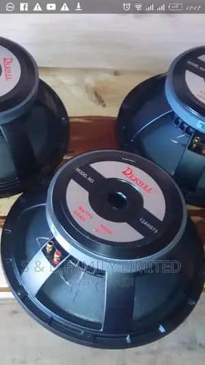Derwel 12 Inch Speakers