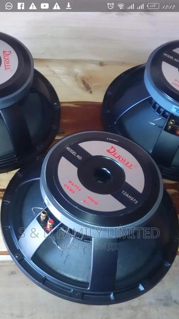 Derwel 12 Inch Speakers - thumbnail 2
