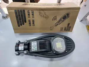 50 Watts Solar Streetlight