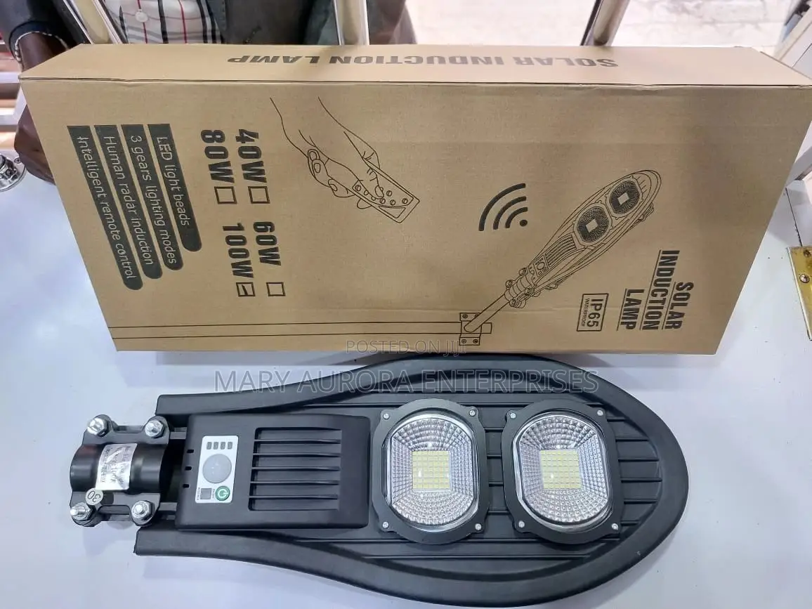 100 Watts Solar Floodlight