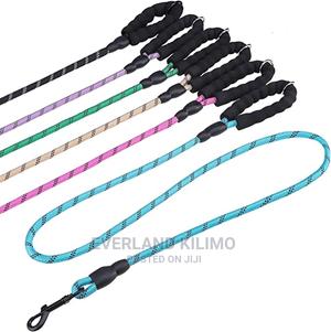 Braided Nylon Dog Leash - thumbnail 2