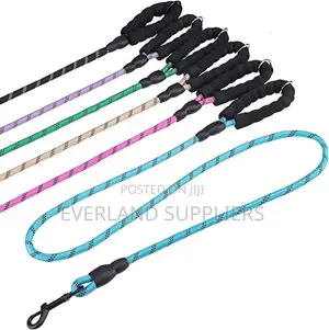 Braided Nylon Dog Leash