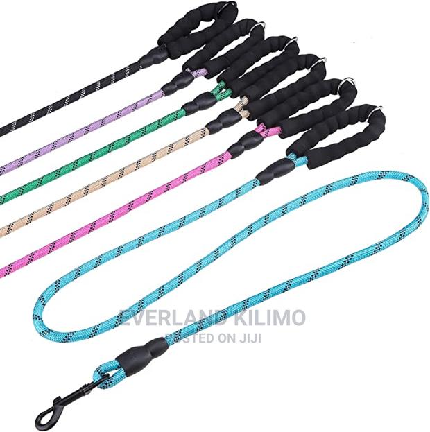 Braided Nylon Dog Leash - main view