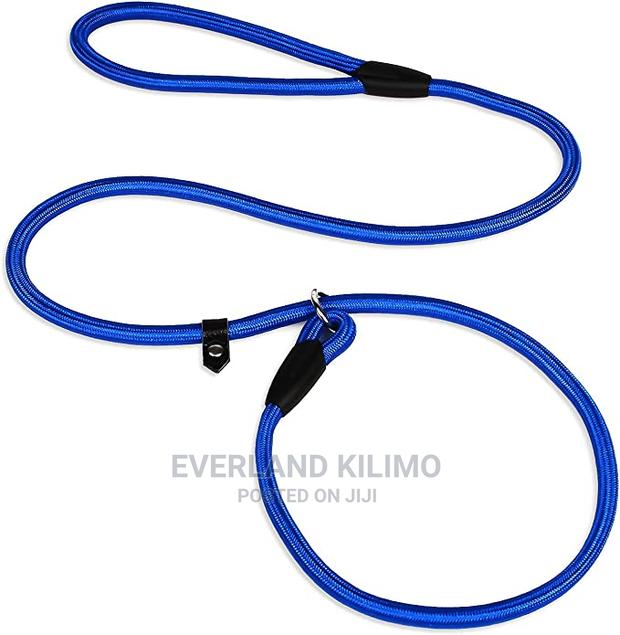 Training Dog Leash - main view