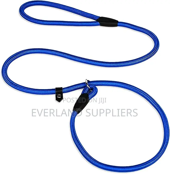Training Dog Leash