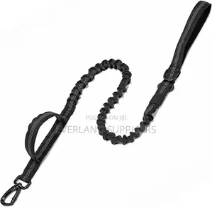 Bungee Dog Leash