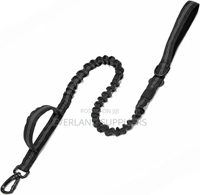 Bungee Dog Leash