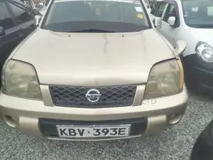 Nissan X-Trail 2006 Brown