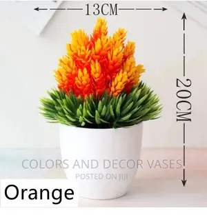 Bonsais Potted Plants