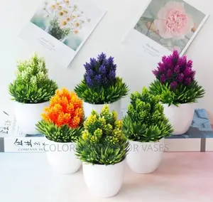 Bonsais Potted Plants