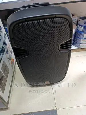 Portable Speaker 15 Inch With 2 Wireless Microphone