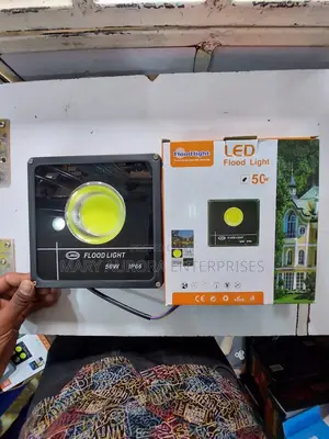 50 Watts Ac Floodlight