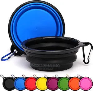 Foldable Pet Feeding Bowl