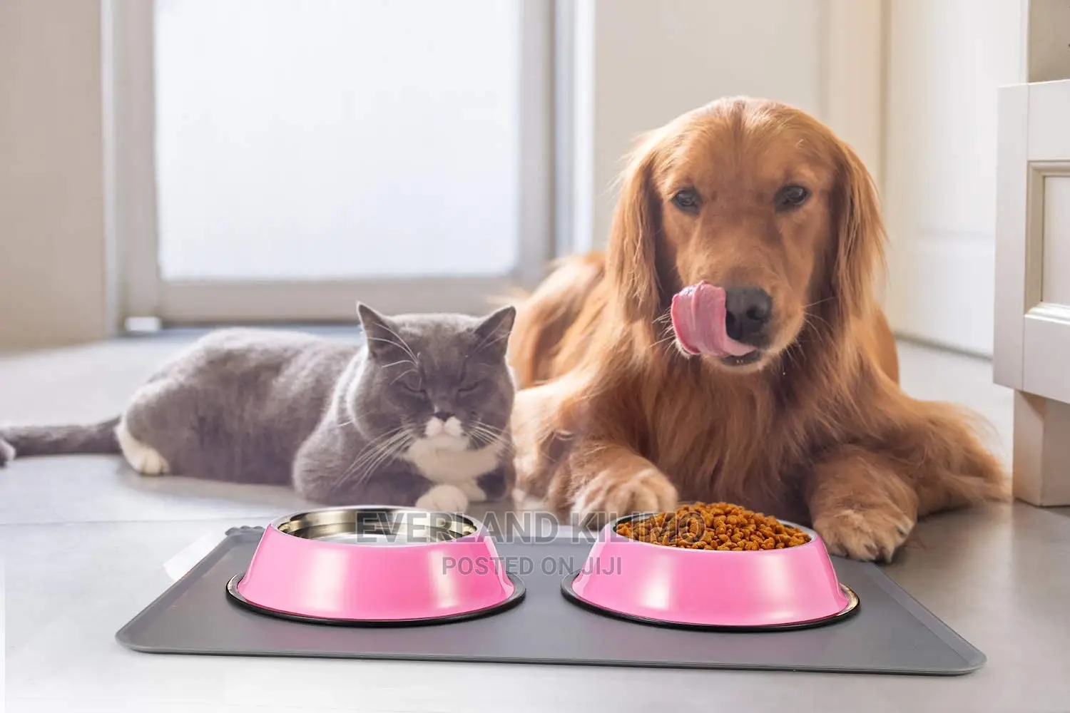 Non Slip Pet Feeding Bowl