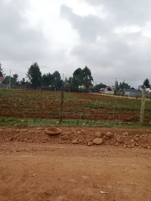 1/4 Plot Outspan With Title Less Than 500metres