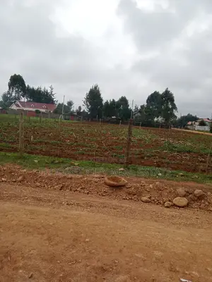 1/4 Plot Outspan With Title Less Than 500metres