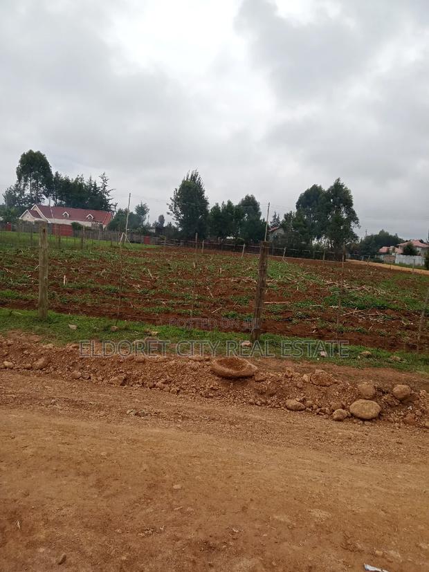 1/4 Plot Outspan With Title Less Than 500metres - thumbnail 2