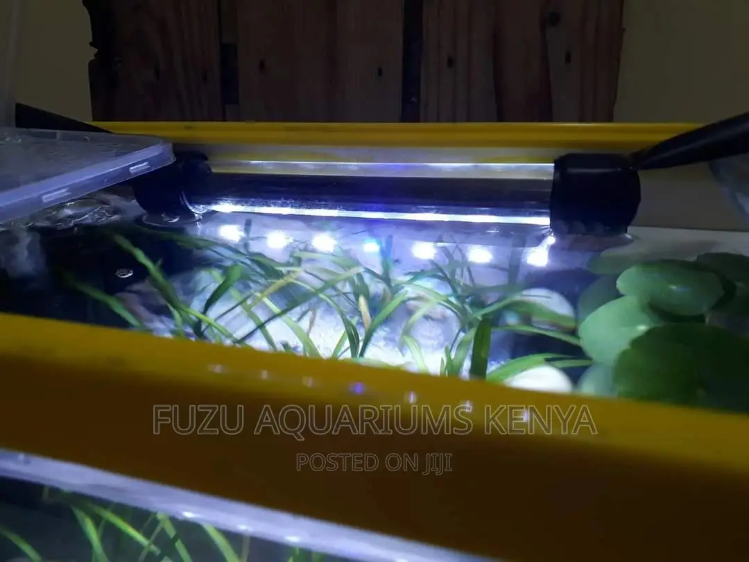 Blue and White Aquarium Light LED