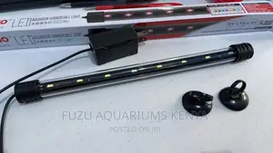 Aquarium Lamp
