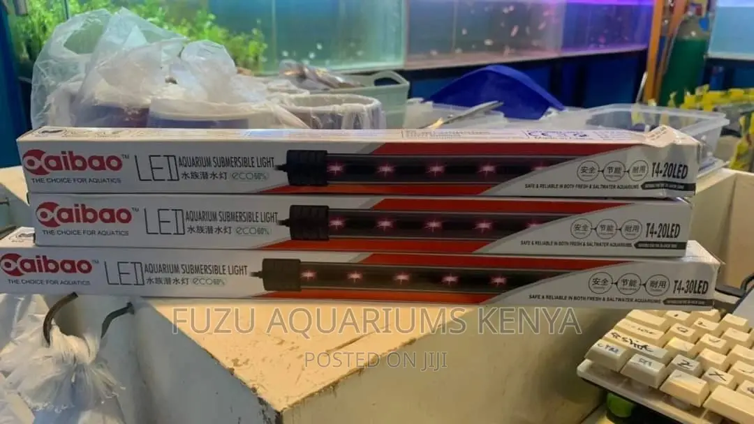 Low Wattage Aquarium Light