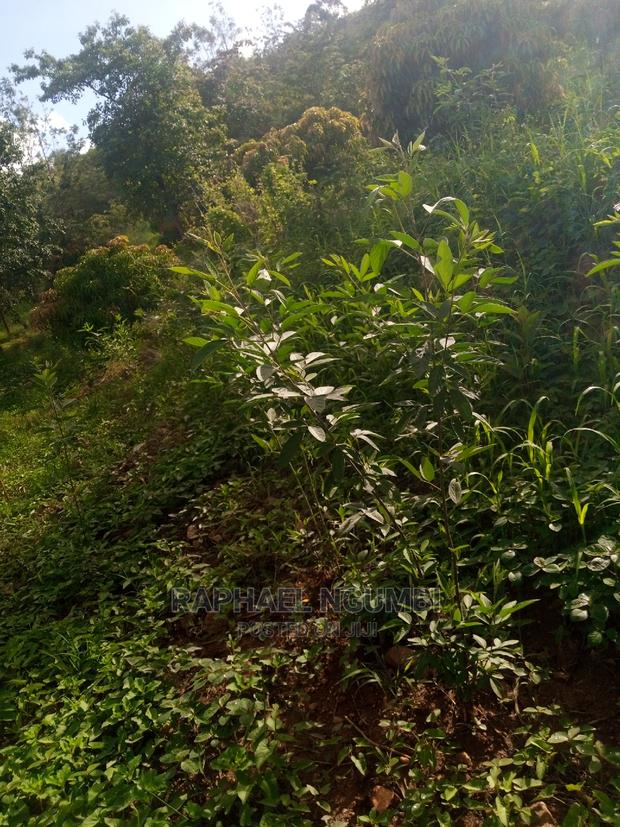 1.75 Acres at Machakos Kaani - main view