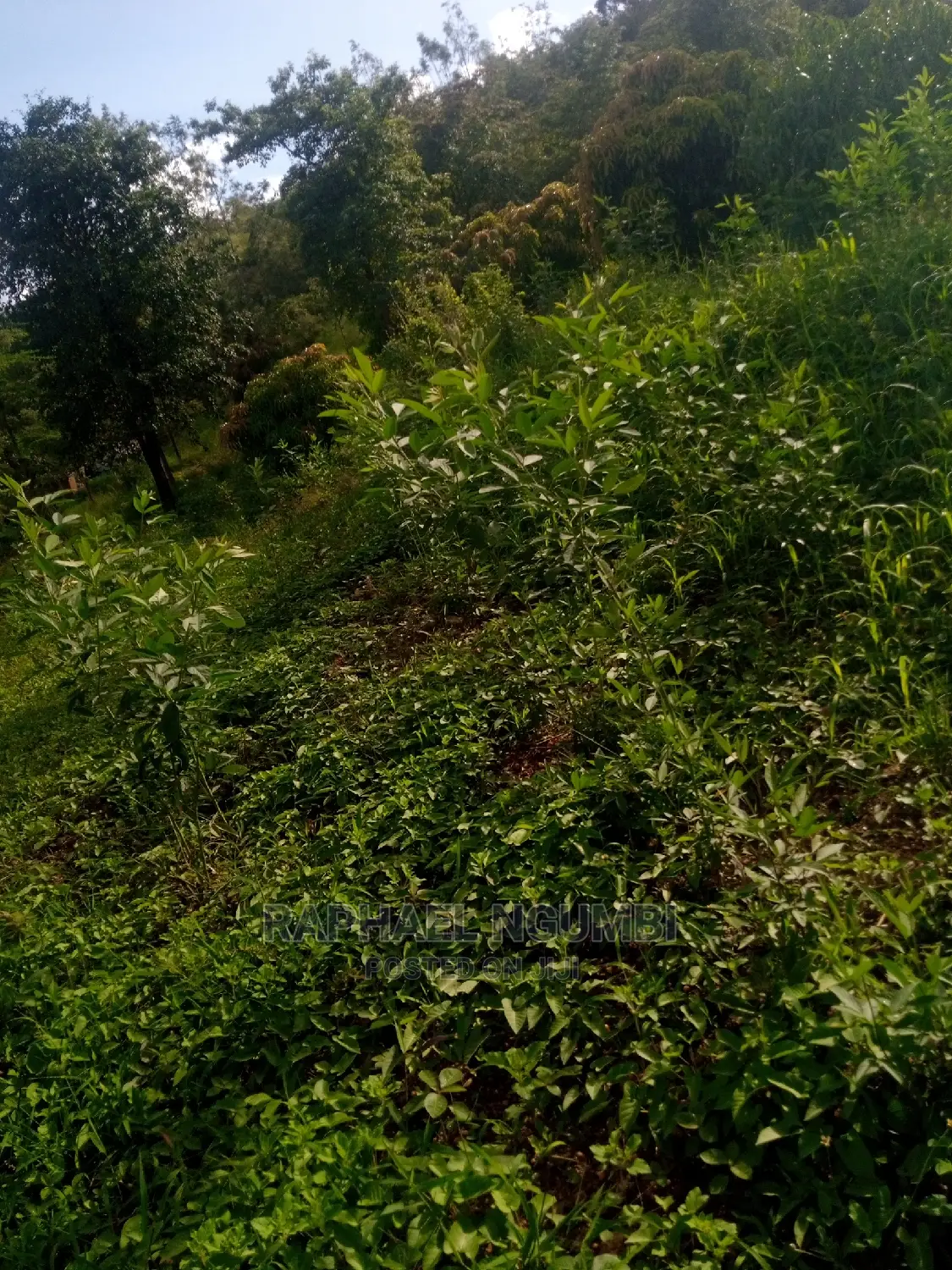 1.75 Acres at Machakos Kaani