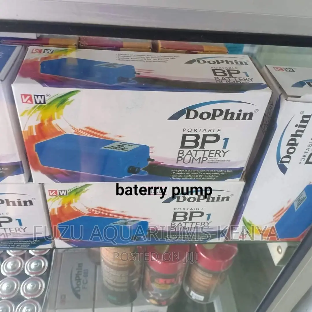 Portable Battery Air Pump