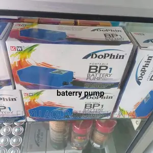 Portable Battery Air Pump